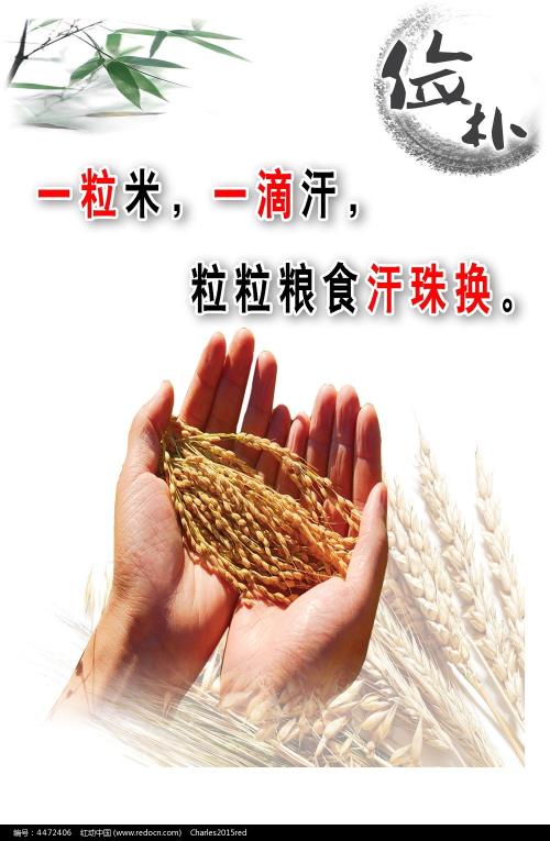 日本宫崎县立看护大学本科offer
